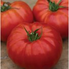 Heritage Tomato Juicy Vegetable Easy Growing Garden Tomatoe 50+ seeds