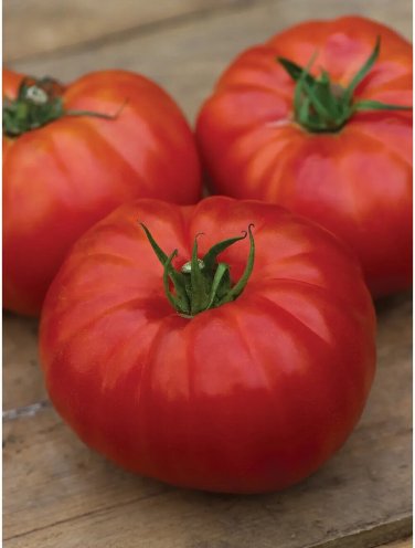 Heritage Tomato Juicy Vegetable Easy Growing Garden Tomatoe 50+ seeds