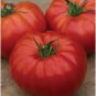 Heritage Tomato Juicy Vegetable Easy Growing Garden Tomatoe 50+ seeds