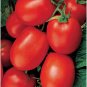 Health Kick Tomato Juicy Vegetable Easy Growing Garden Tomatoe 50+ seeds