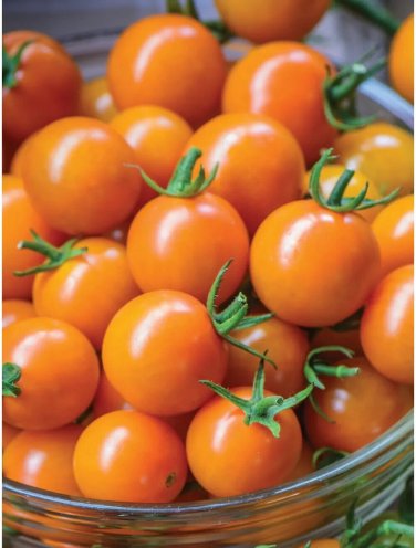 Honeycomb Tomato Juicy Vegetable Easy Growing Garden Tomatoe 50+ seeds