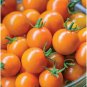 Honeycomb Tomato Juicy Vegetable Easy Growing Garden Tomatoe 50+ seeds