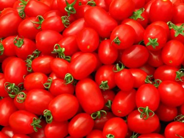 Hard Rock Tomato Juicy Vegetable Easy Growing Garden Tomatoe 50+ seeds