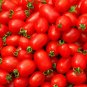 Hard Rock Tomato Juicy Vegetable Easy Growing Garden Tomatoe 50+ seeds