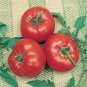 Frazier'S Gem Tomato Juicy Vegetable  Tomatoe 50+ seeds