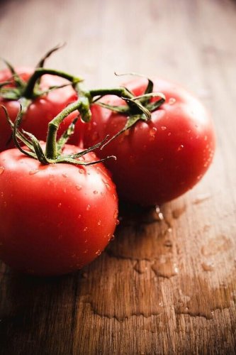 Ferline Tomato Juicy Vegetable  Tomatoe 50+ seeds