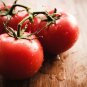 Ferline Tomato Juicy Vegetable  Tomatoe 50+ seeds