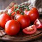 Favorita Tomato Juicy Vegetable  Tomatoe 50+ seeds