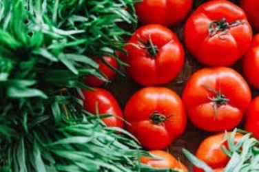 Fantastic Tomato Juicy Vegetable  Tomatoe 50+ seeds
