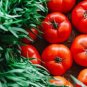 Fantastic Tomato Juicy Vegetable  Tomatoe 50+ seeds