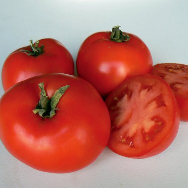 Estiva Tomato Juicy Vegetable  Tomatoe 50+ seeds