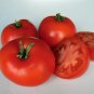Estiva Tomato Juicy Vegetable  Tomatoe 50+ seeds