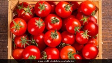 Cupid Tomato Juicy Vegetable  Tomatoe 50+ seeds
