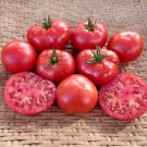 Charger Tomato Juicy Vegetable  Fresh Tomatoe 50+ seeds