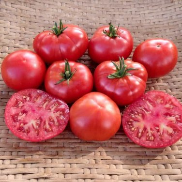 Charger Tomato Juicy Vegetable  Fresh Tomatoe 50+ seeds