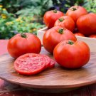 Celebration Tomato Juicy Vegetable  Fresh Tomatoe 50+ seeds