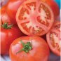 Early Pick Tomato Juicy Vegetable  Fresh Tomatoe 50+ seeds