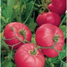 Brandy Boy Tomato Juicy Vegetable  Fresh Tomatoe 50+ seeds
