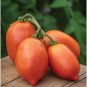 Big Mama Tomato Juicy Vegetable  Fresh Tomatoe 50+ seeds