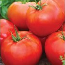 Big Daddy Tomato Juicy Vegetable  Fresh Tomato Food 50+ seeds