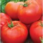 Big Daddy Tomato Juicy Vegetable  Fresh Tomato Food 50+ seeds