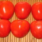 Tomatoberry Tomato Hybrid Vegetable Garden Planting  Fresh Tomatoe 50+ seeds