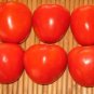 Tomatoberry Tomato Hybrid Vegetable Garden Planting  Fresh Tomatoe 50+ seeds