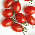 Sweet Olive Tomato Hybrid Vegetable Garden Planting  Fresh Tomatoe 50+ seeds