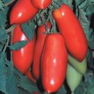 Super Marzano Tomato Hybrid Vegetable Garden 50+ seeds