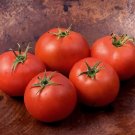 Jet Star Tomato Hybrid Vegetable Garden Food 50+ seeds