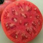 Husky Cherry Red Tomato Hybrid Vegetable Garden 50+ seeds