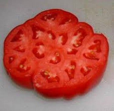 Giant Belgium Tomato Hybrid Vegetable Garden 50+ seeds