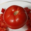 Fantastic Tomato Hybrid Vegetable Garden 50+ seeds