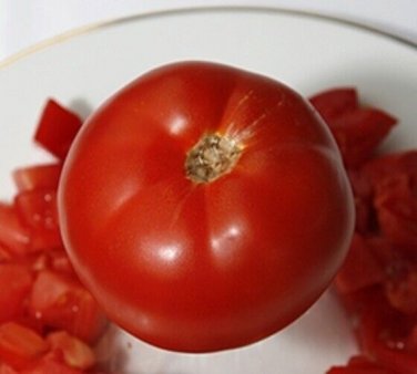 Fantastic Tomato Hybrid Vegetable Garden 50+ seeds