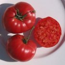 Better Bush Tomato Hybrid Vegetable Garden Planting Tomatoes Usa 50+ seeds