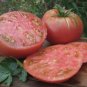Beefmaster Tomato Hybrid Vegetable Garden Planting Tomatoes Usa 50+ seeds