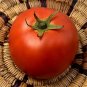 Baby Cakes Tomato Hybrid Vegetable Garden Planting Tomatoes Usa 50+ seeds