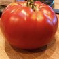 Abe Lincoln Tomato Vegetable Garden Planting Tomatoes Usa 50+ seeds