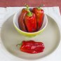 Dolmalik Chili Peppers Easy To Grow Vegetable Garden Edible 25 seeds