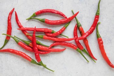 Dagger Pod Chili Peppers Easy To Grow Vegetable Garden Edible 25 seeds