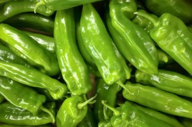 Cubanelle Peppers Easy To Grow Vegetable Garden Edible 25 seeds