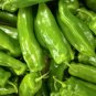 Cubanelle Peppers Easy To Grow Vegetable Garden Edible 25 seeds