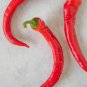 Cowhorn Chili Peppers Easy To Grow Vegetable Garden Edible 25 seeds