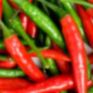 Coronado Chili Peppers Easy To Grow Vegetable Garden Edible 25 seeds