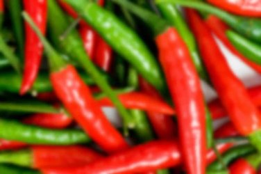 Coronado Chili Peppers Easy To Grow Vegetable Garden Edible 25 seeds