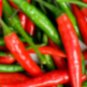 Coronado Chili Peppers Easy To Grow Vegetable Garden Edible 25 seeds