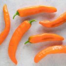 Corno Di Toro Chili Peppers Easy To Grow Vegetable Garden Edible 25 seeds