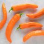 Corno Di Toro Chili Peppers Easy To Grow Vegetable Garden Edible 25 seeds