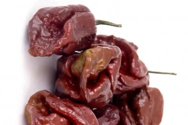 Chocolate Bhutlah Peppers Easy To Grow Vegetable Garden Edible 25 seeds