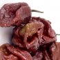 Chocolate Bhutlah Peppers Easy To Grow Vegetable Garden Edible 25 seeds